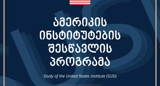 Study Program of American Institutes